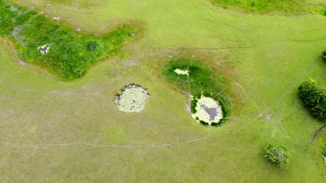 paisaje único e inusual de estanques redondos, lagos, vías fluviales en extensas llanuras verdes, vista aérea de drones desde arriba hacia abajo