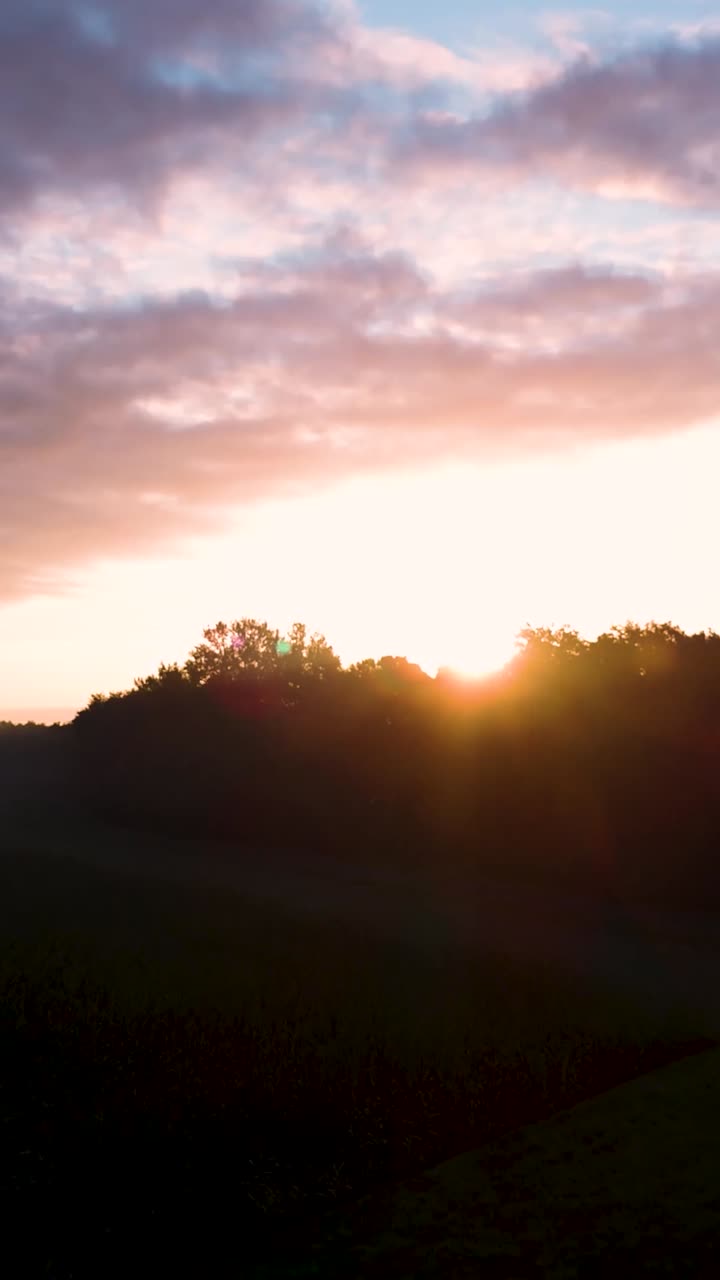 El amanecer sobre un paisaje de bosque brumoso
