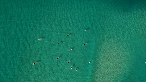 a high view of surfers sitting in the clear ocean water waiting to ride the waves