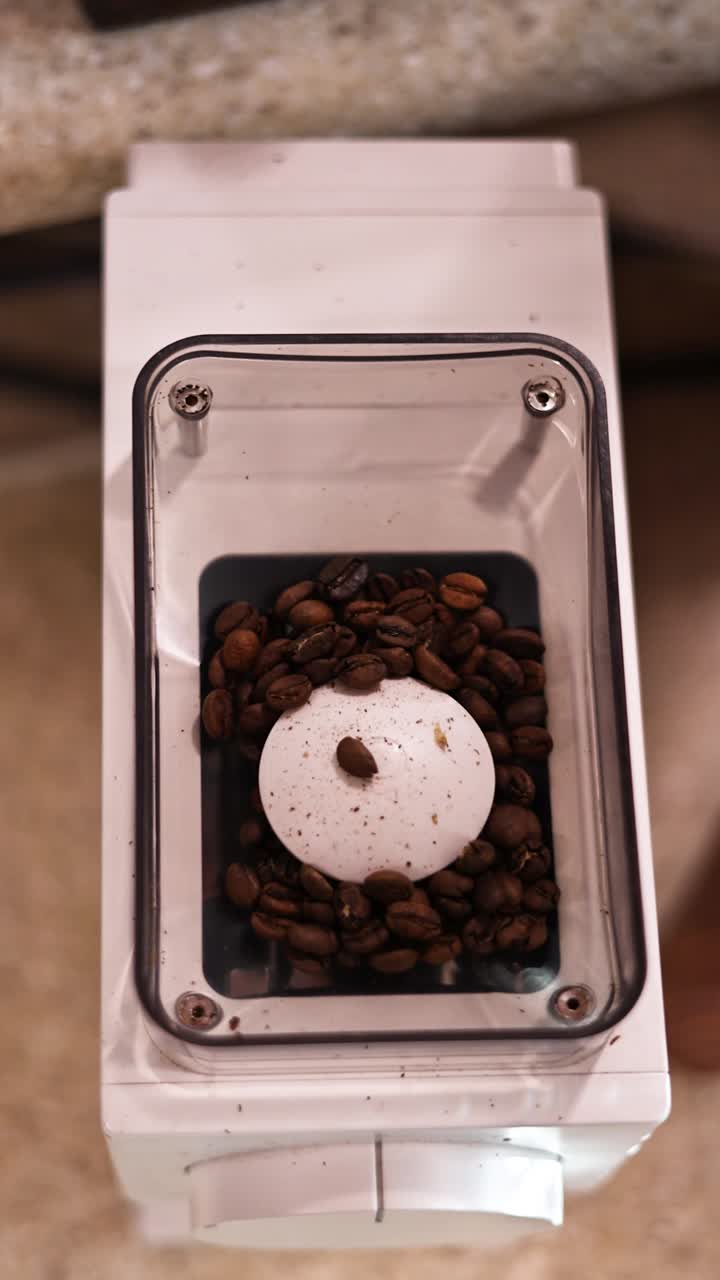 Overhead static shot of roasted beans feeding into a white grinder; beans disappear into the hopper—clean workflow, rich texture, and cafe prep detail