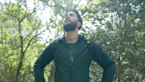 Man,-thinking-and-hiking-in-nature-forest