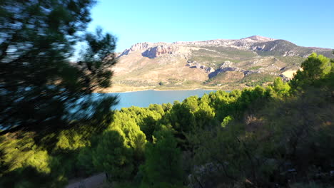 vista aérea volando a través de un pequeño agujero entre pinos con un dron, volando a través de un espacio estrecho para revelar un hermoso lago y un paisaje montañoso