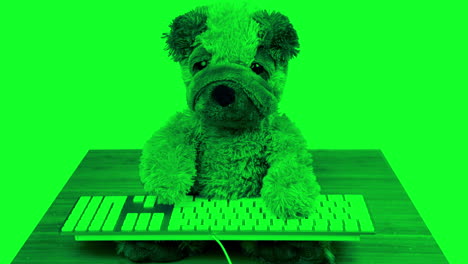 stuffed animal dog typing on a keyboard