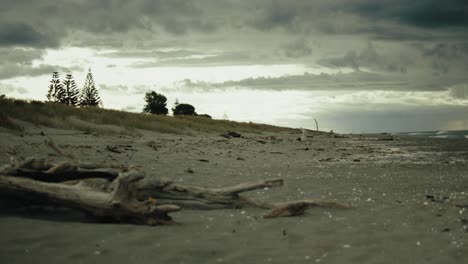 slow pan of a driftwood in a beach with a storm forming in the sky