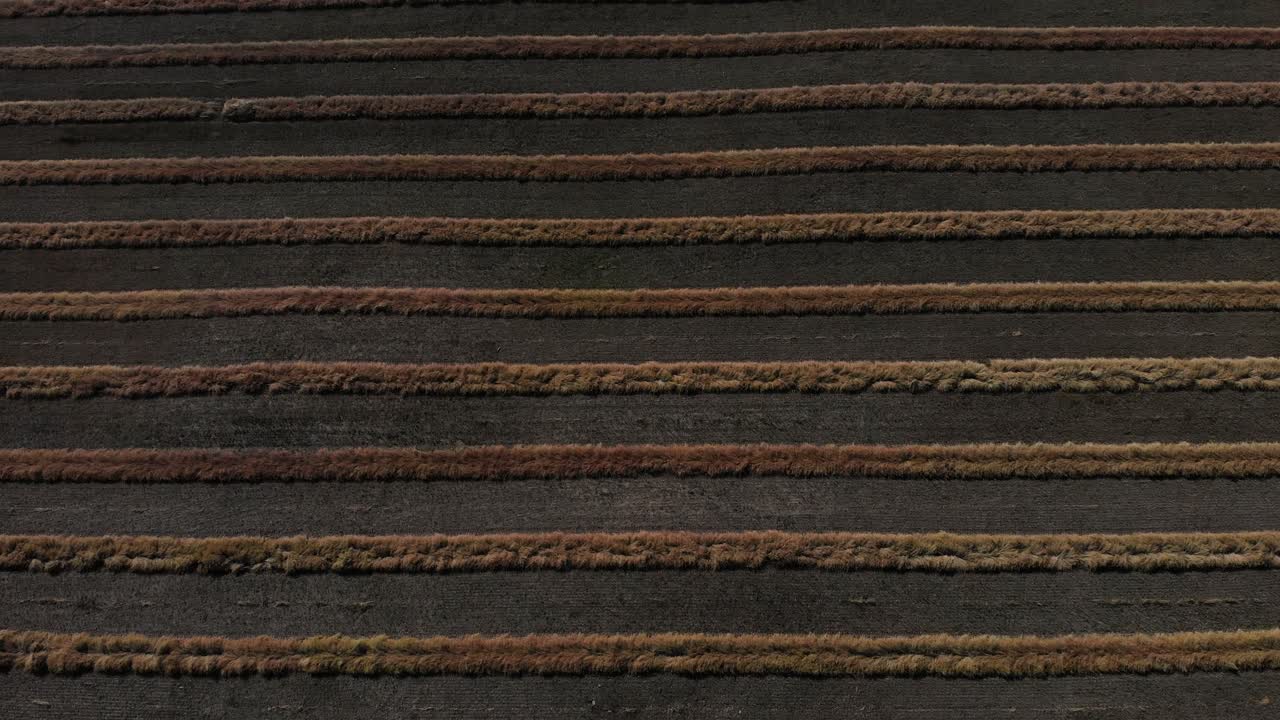 산업용 밀 ⁇  들판 에 있는 농업 농장 가공 기계 의 상단 공중 촬영