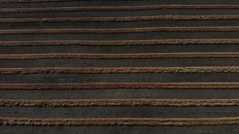 top aerial shot of agricultural farm combine harvester on industrial wheat field