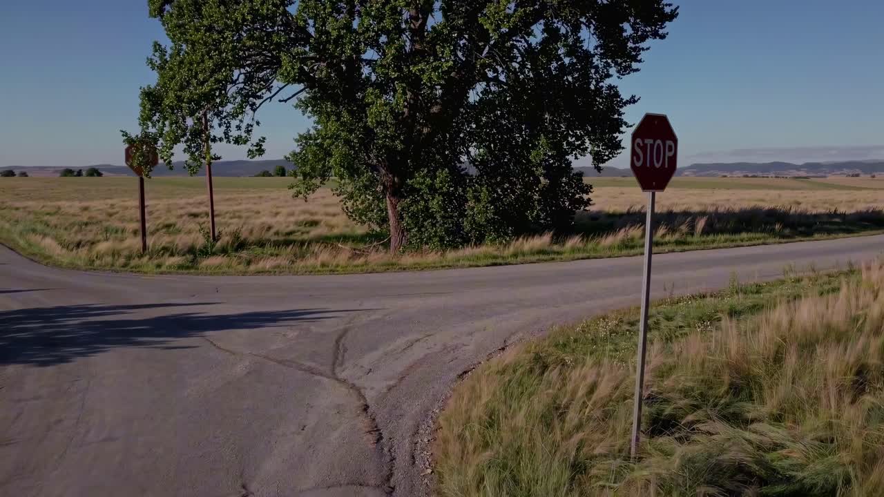 Veduta aerea di un incrocio rurale con un segnale di stop, circondato da campi e un grande albero