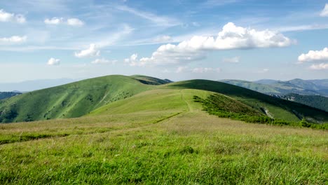 calm sunny day in green mountain meadow with blue sky and white clouds time lapse