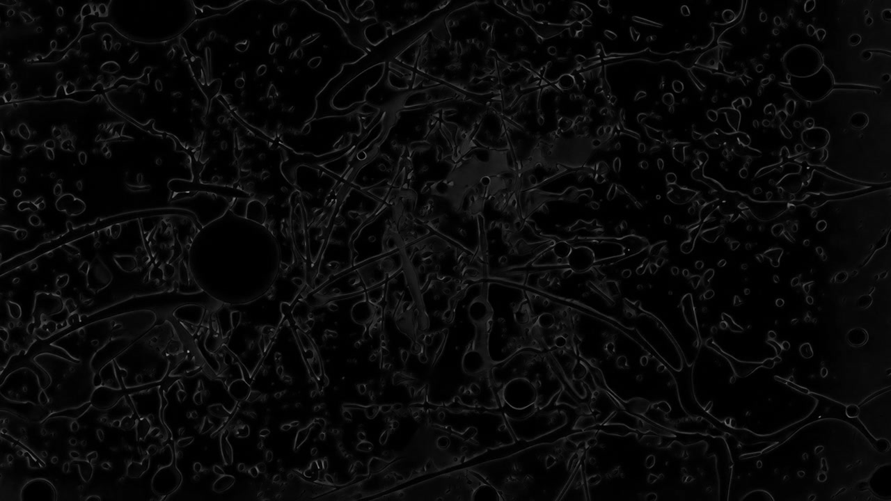Sovrapposizione animata con arte astratta di schizzi neri, video 4K trasparente, canale alfa, ProRes 4444