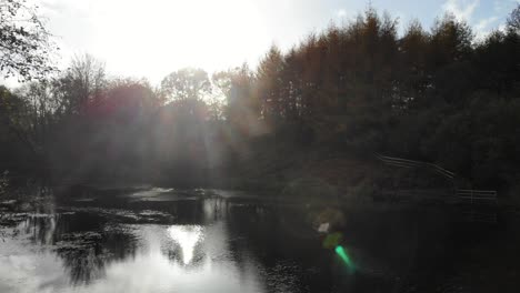 aerial flying over otterhead lake surrounded by autumnal woodland forest with sunny lens flare in shot