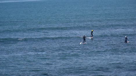 People Paddleboarding in the Ocean