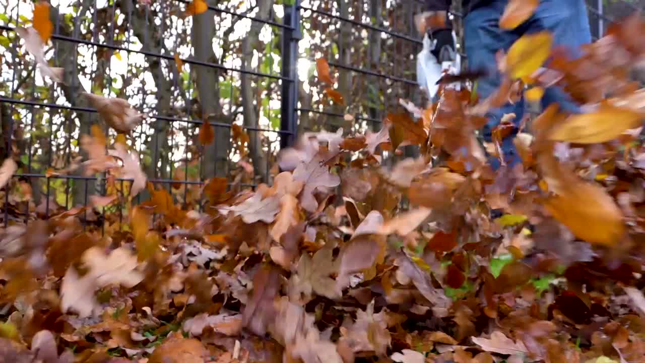 imágenes cercanas de hojas siendo sopladas usando soplador de hojas en cámara lenta