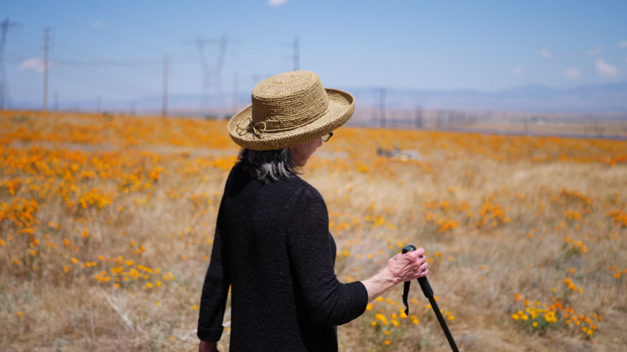An old woman with a walking stick and hat hiking in a field of flowers with electrical power lines in the distance