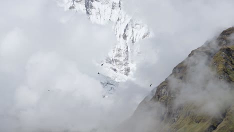 Birds-Flying-in-Himalayas-Mountains-in-Nepal,-Birds-in-Flight-in-Dramatic-Mountain-Scenery-with-Snowcapped-Mountains-in-Dramatic-Landscape-in-Nepal