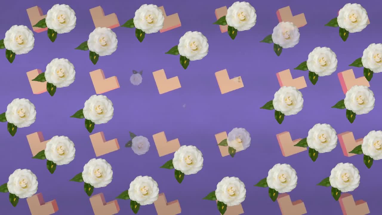 회전하는 모양으로 보라색 배경에  ⁇  꽃의 애니메이션