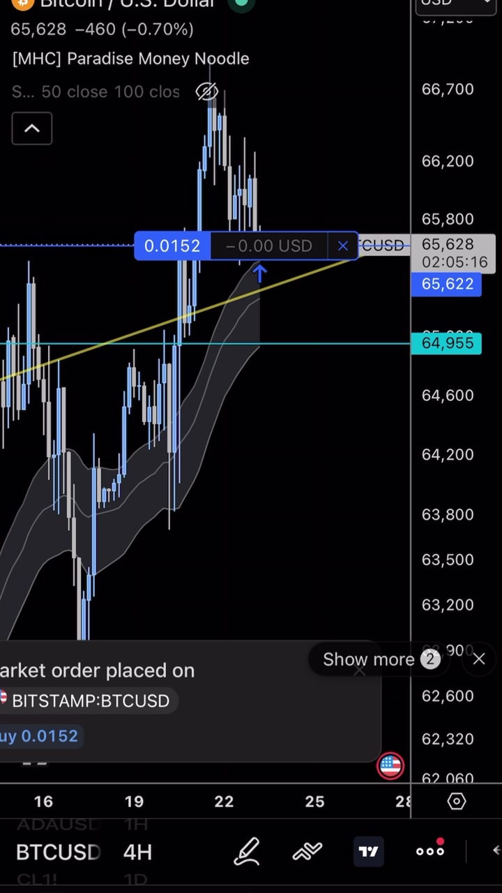 Registrazione dello schermo di un grafico di trading Bitcoin USD che mostra lo scorrimento, il posizionamento di ordini di acquisto, l'impostazione dello stop loss e l'esecuzione di mercato con obiettivi di take profit su una piattaforma di trading professionale
