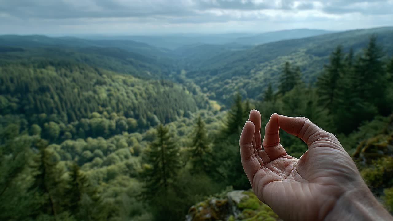 A Serene Hand Gesture in Nature's Embrace: Captivating Views of Lush Green Valleys and Majestic Mountains Captured in a Tranquil Moment of Reflection