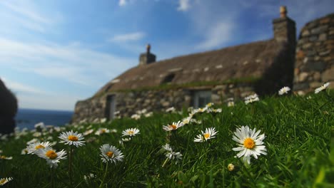 static shot of a blackhouse with thatched roof