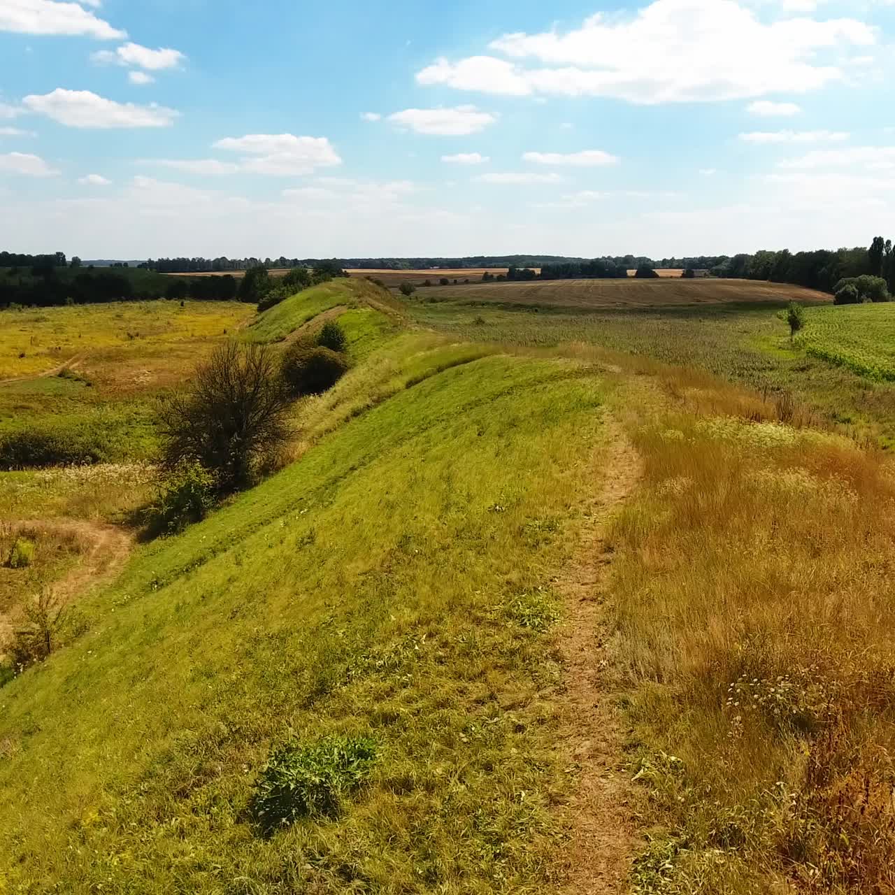 Summer green landscape under blue skies. Long hill separating meadows from agricultural farmlands. Top view