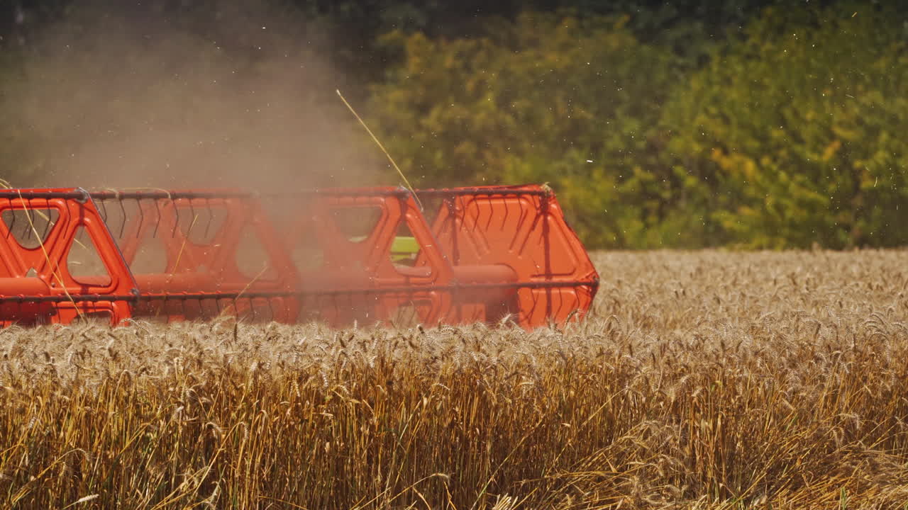 Crop season. Part of combine harvester on the wheat field gathering ripe spikelets in the countryside. Close-up. Food industry concept.