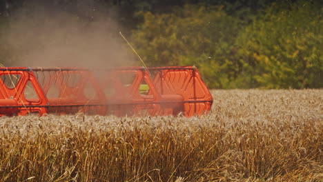 crop season. part of combine harvester on the wheat field gathering ripe spikelets in the countryside. close-up. food industry concept.