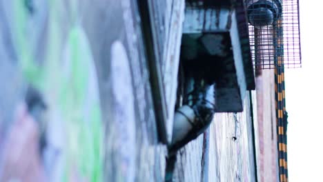 water dripping from pipes onto graffiti-covered wall