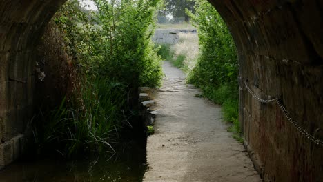 caminando por un corto túnel hacia plantas verdes