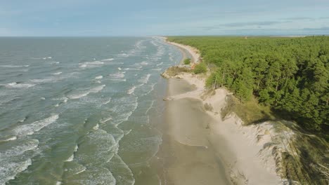 Vista-Aérea-De-Establecimiento-De-La-Costa-Del-Mar-Báltico,-Día-Soleado,-Dunas-De-Arena-Blanca-A-La-Orilla-Del-Mar-Dañadas-Por-Las-Olas,-Bosque-De-Pinos,-Erosión-Costera,-Cambios-Climáticos,-Tiro-De-Drones-De-Gran-Angular-Moviéndose-Hacia-Atrás