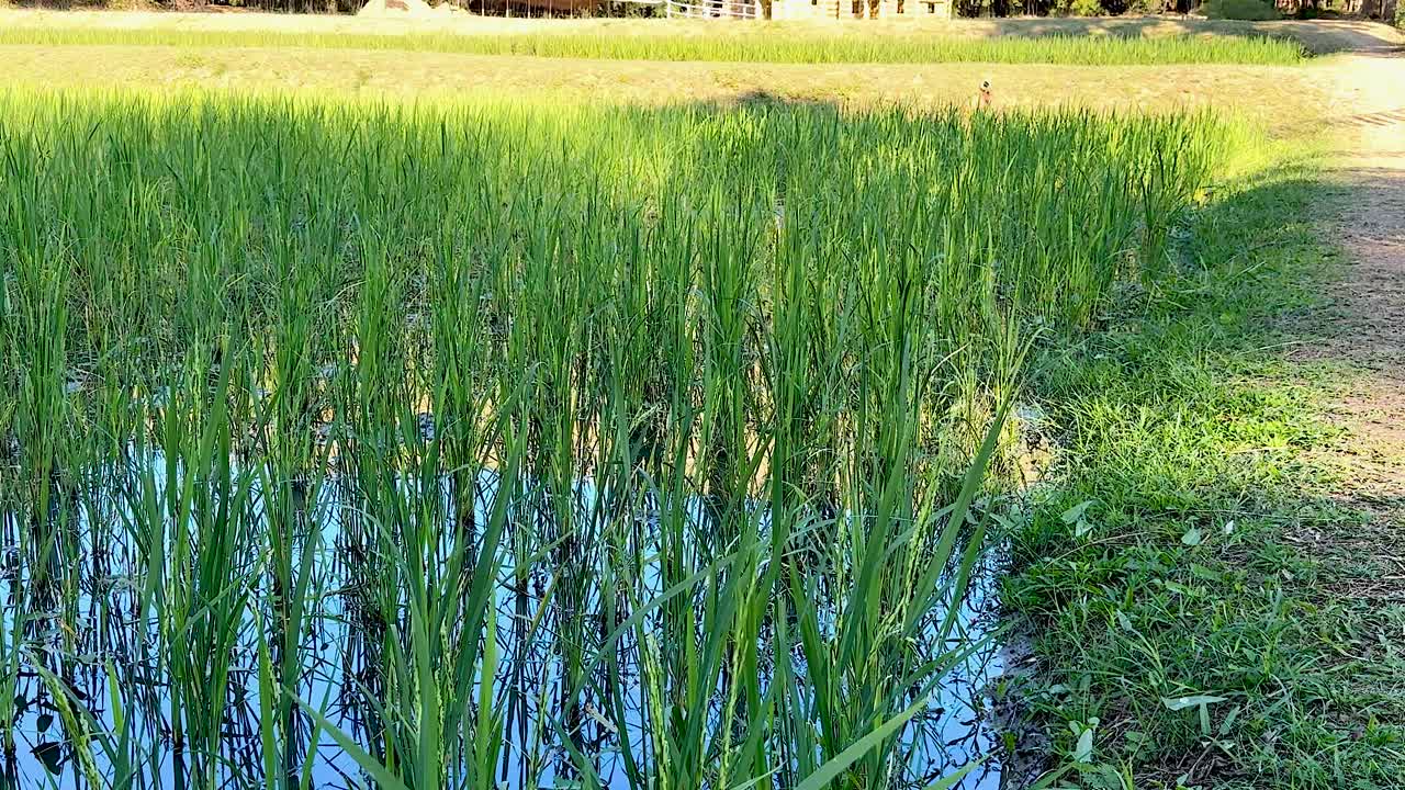 과 집 의 경치 가 아름답다