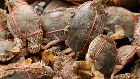 crabs bound with strings in a market setting