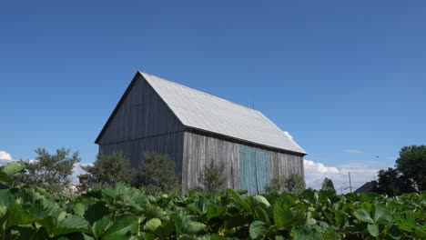 an old barn view from the outside during a beautiful summer day