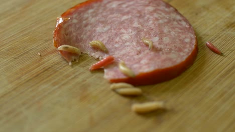 crawling worms over salami in kitchen