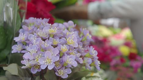 primer plano de un ramo de flores púrpuras