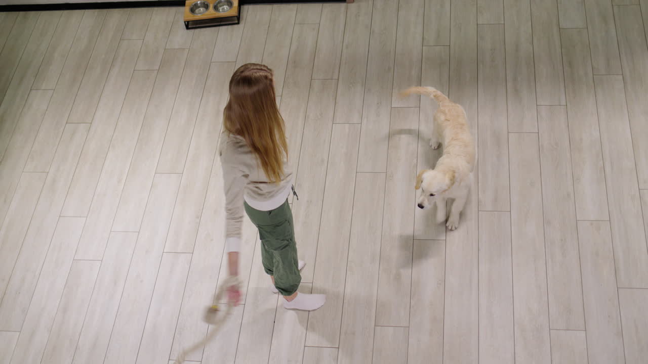 un niño juega con un cachorro - el perro agarra una cuerda. vista desde arriba