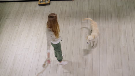 un niño juega con un cachorro - el perro agarra una cuerda. vista desde arriba