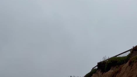 Cinematic-tracking-shot-following-a-flock-of-brown-pelicans-flying-overhead-in-formation-along-California's-Central-Coast-near-Cambria