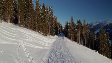 Senderos-Sobre-Montañas-Nevadas-Con-Densos-árboles-De-Coníferas-Cerca-De-La-Ciudad-Turística-De-Saalbach-hinterglemm-En-Austria