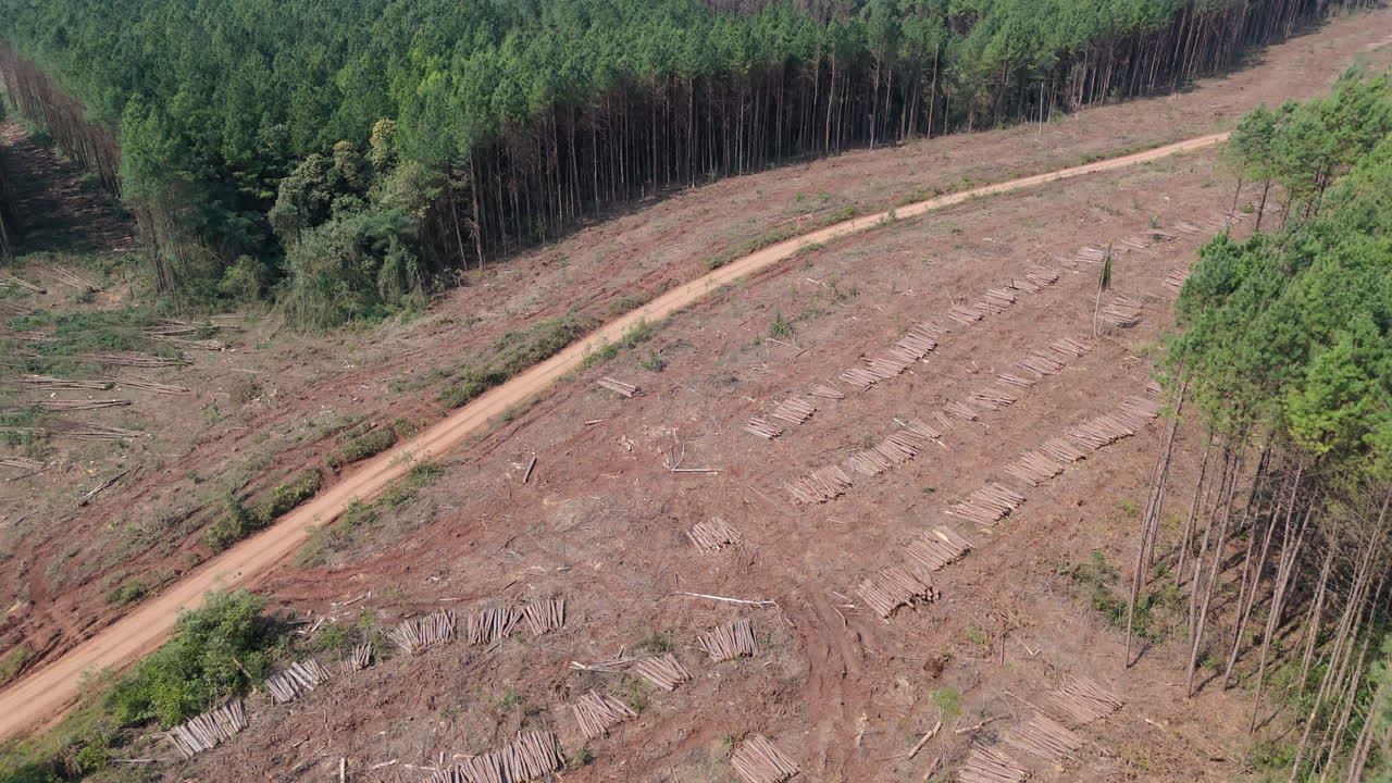Aerial overview of a deforested landscape showing cleared land and tree loss in a forested region