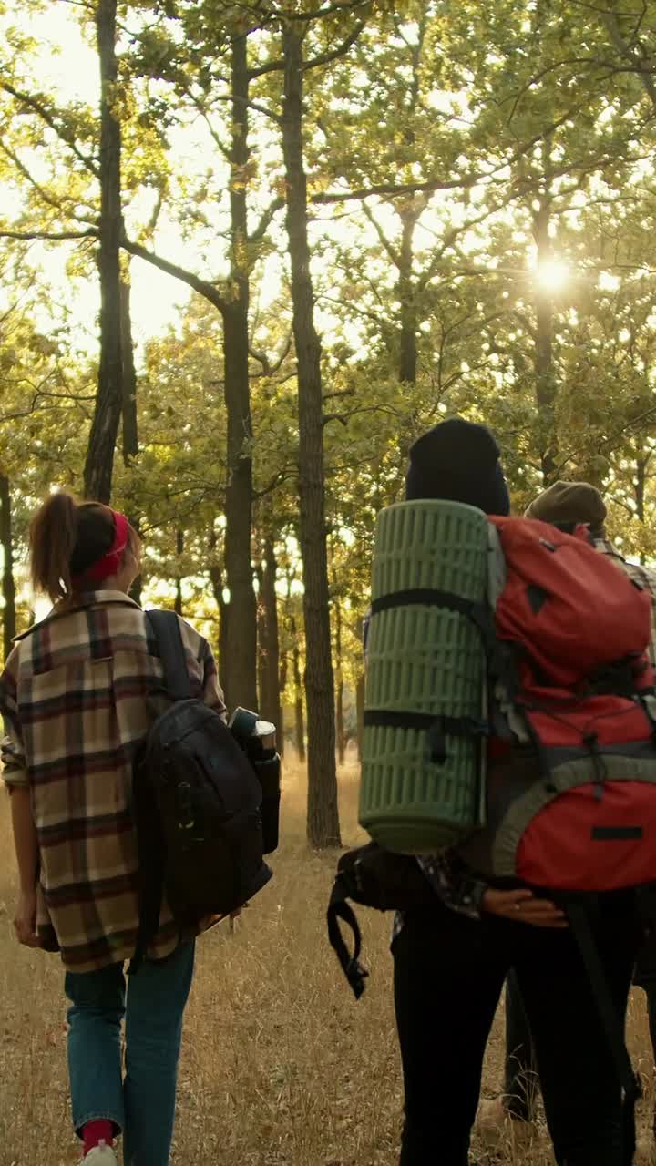 amigos haciendo senderismo en el bosque.