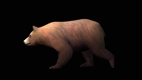 Ein-Braunbär,-Der-Auf-Schwarzem-Hintergrund-Läuft,-Mit-Alphakanal-Am-Ende-Des-Videos,-3D-Animation,-Seitenansicht,-Animierte-Tiere,-Nahtlose-Schleifenanimation