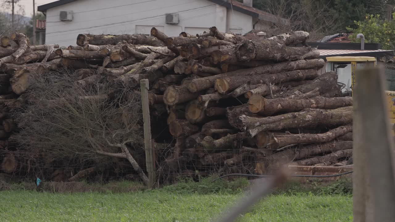 Large pile of cut wood logs stacked outdoors on grass