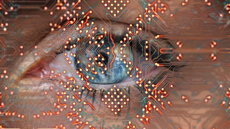 animación de circuito integrado sobre el ojo azul de una mujer caucásica