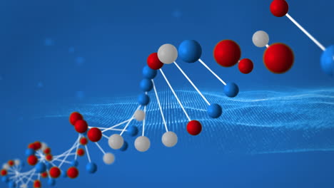 dna double helix