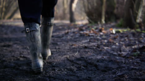 Un-Buen-Par-De-Botas-De-Lluvia-Dando-Un-Paseo-Por-El-Bosque