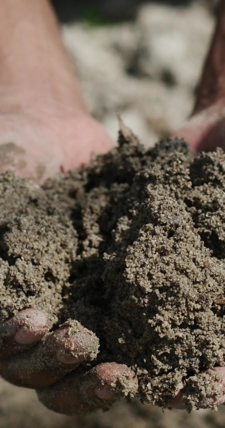 Primo piano di mani che tengono ed esaminano della terra