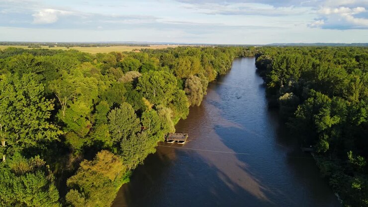 Veduta aerea con drone sopra il fiume Mura che scorre attraverso una fitta foresta ripariale e un paesaggio di pianura alluvionale all'ora d'oro in Slovenia.