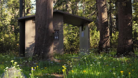 public national or state park restroom in a secluded forest clearing