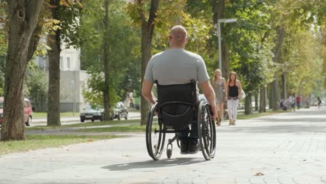 man with disabilities in wheelchair walk at the park alley