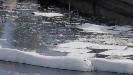 close-up of a protective oil boom surrounding an oil spill from a boat accident