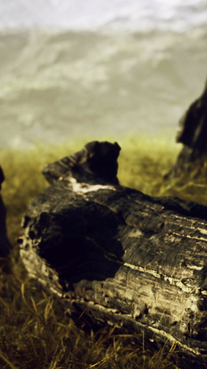 Charred log resting in a quiet meadow under a hazy sky at twilight